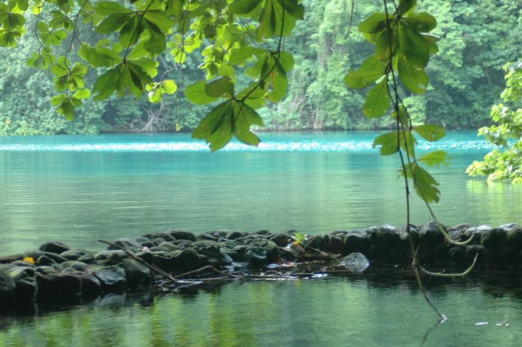 Moon San Villa At The Blue Lagoon Port Antonio Exteriör bild